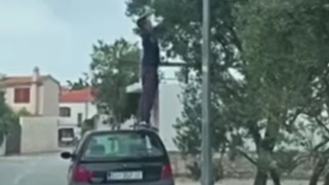 Hit video snimljen u Murteru: Inovativno branje maslina nasmijalo 'cijeli Facebook'