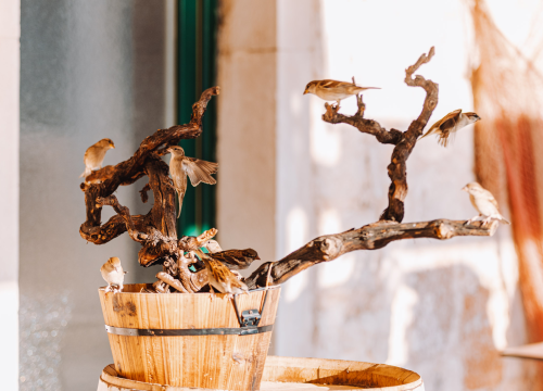 Fotografija 12 - Iskoristite akciju u VBR-u: Sva keramika na lageru snižena je od 20 do 40 posto!