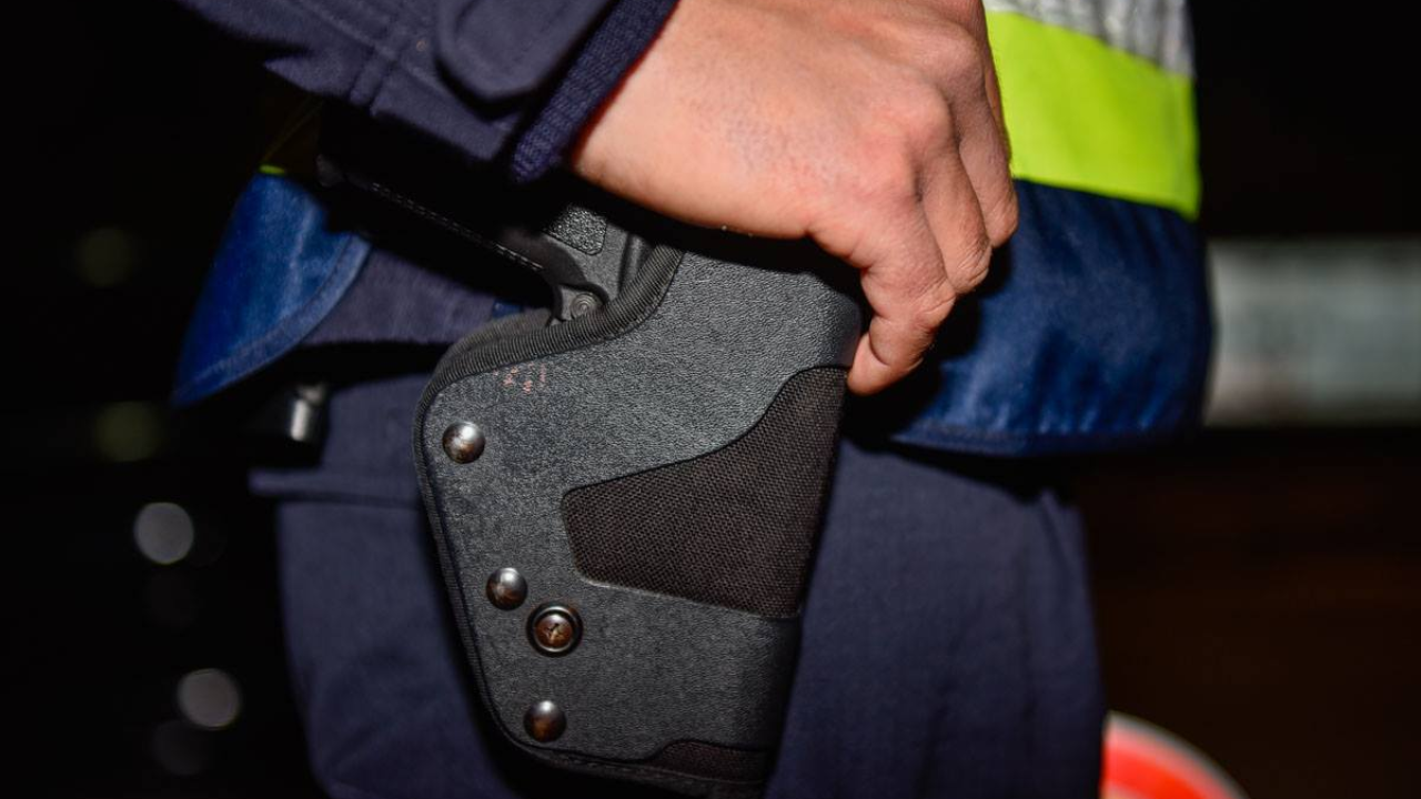 Policajac službenim pištoljem ustrijelio psa: Suspendiran je i bit će kazneno prijavljen