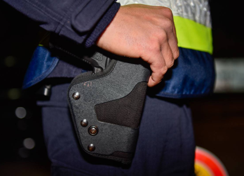 Policajac službenim pištoljem ustrijelio psa: Suspendiran je i bit će kazneno prijavljen