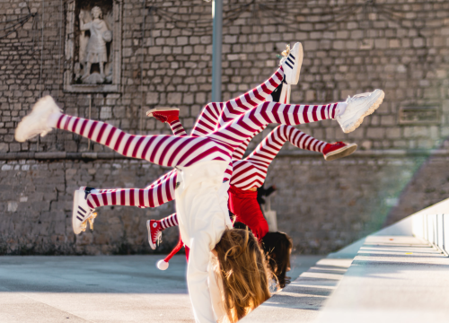 Poznati rezultati natječaja za izgradnju fundraising kulture u Hrvatskoj: Na popisu i šibenske Sjene