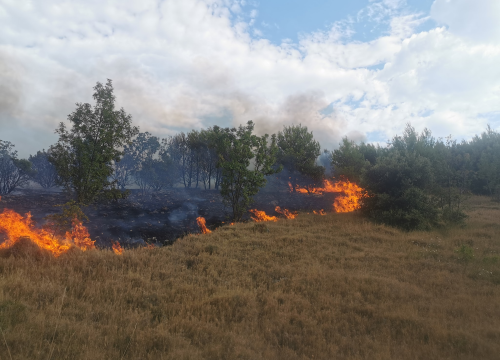 Jučer je u županiji gorjelo na četiri mjesta, vatrogasci brzim intervencijama spriječili širenje požara