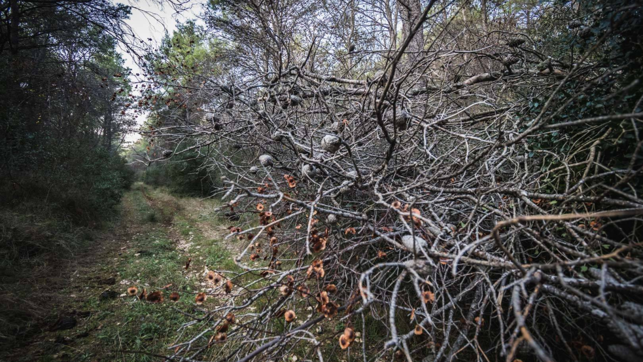 Šibenska policija istražuje tko je s lovišta ukrao desetke tisuća kuna vrijednu opremu