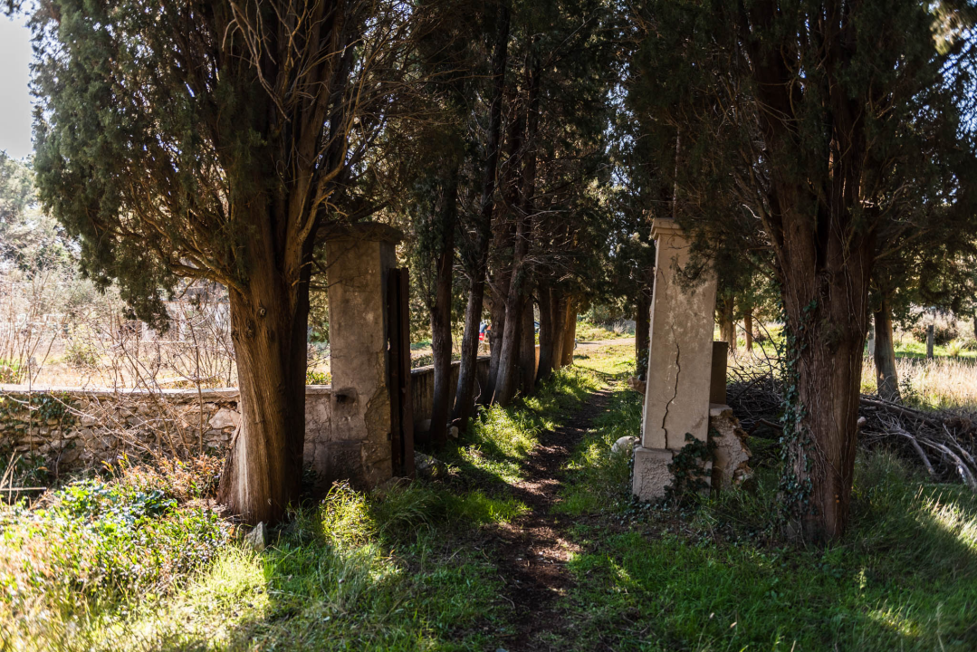'To groblje je poput Pandorine kutije, bila je i njemačka krim policija': Na Raskrižju su posljednje počivalište našli i partizani i fašisti