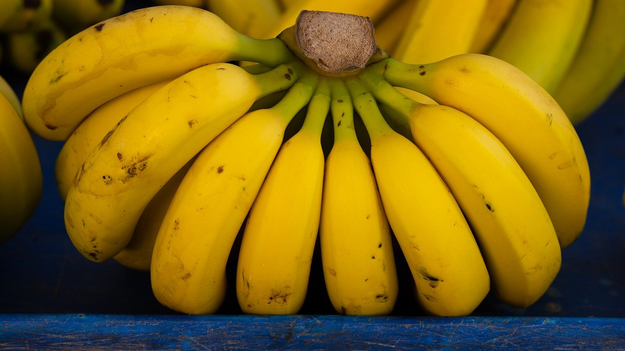 Znate li zašto trgovci mjere temperaturu banana