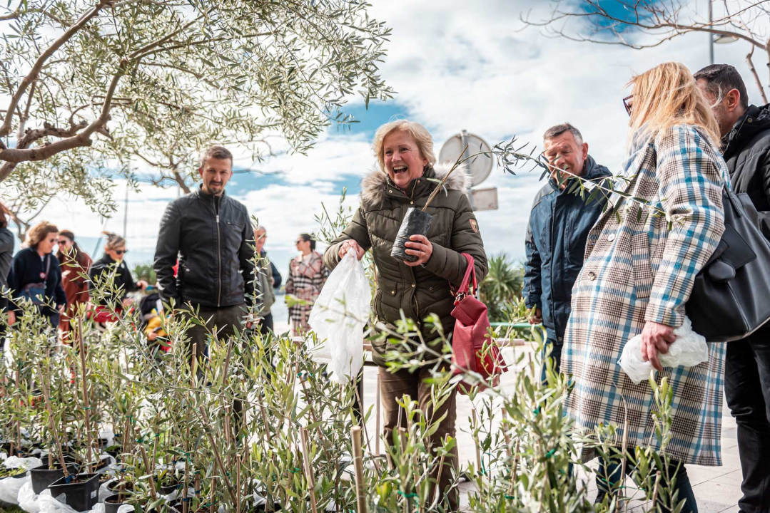 Podjelom sadnica masline i čitanjem poezije na šibenskoj rivi obilježen 100. rođendan Vesne Parun