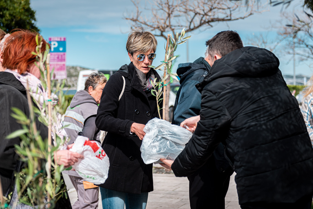 Podjelom sadnica masline i čitanjem poezije na šibenskoj rivi obilježen 100. rođendan Vesne Parun