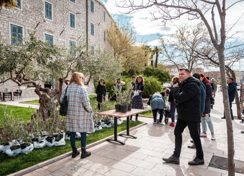 Fotografija 9 - Podjelom sadnica masline i čitanjem poezije na šibenskoj rivi obilježen 100. rođendan Vesne Parun