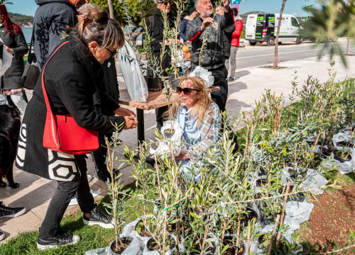 Fotografija 14 - Podjelom sadnica masline i čitanjem poezije na šibenskoj rivi obilježen 100. rođendan Vesne Parun