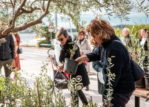 Fotografija 13 - Podjelom sadnica masline i čitanjem poezije na šibenskoj rivi obilježen 100. rođendan Vesne Parun