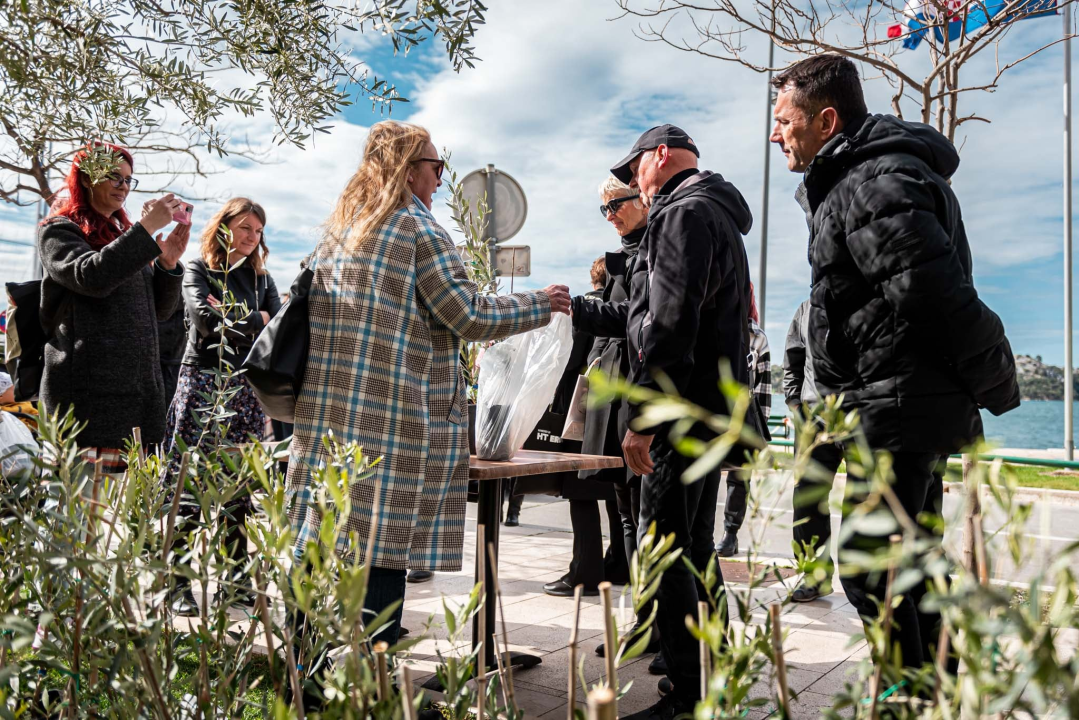Podjelom sadnica masline i čitanjem poezije na šibenskoj rivi obilježen 100. rođendan Vesne Parun