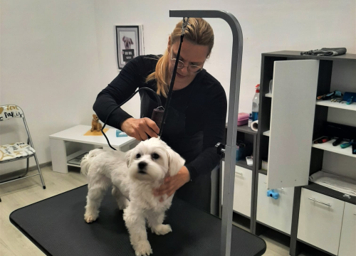 Fotografija 4 - Salon za šišanje pasa Luki pružit će najbolju njegu vašim ljubimcima!