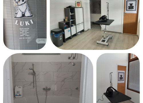 Fotografija 6 - Salon za šišanje pasa Luki pružit će najbolju njegu vašim ljubimcima!