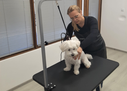 Fotografija 3 - Salon za šišanje pasa Luki pružit će najbolju njegu vašim ljubimcima!