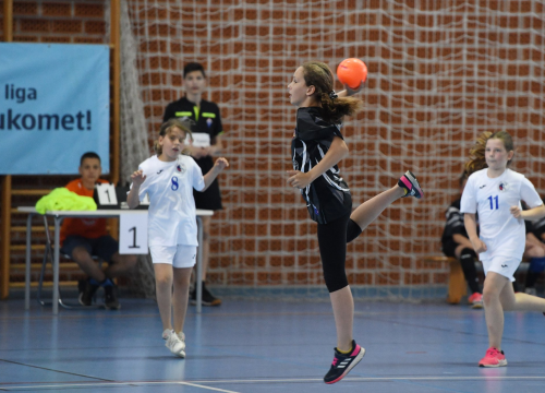 Fotografija 2 - Mini rukometaši završili sezonu