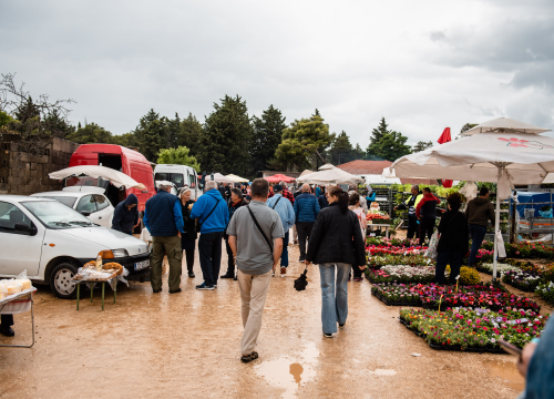 Fotografija 2 - Bili smo na Benkovačkom sajmu: Najtraženija 'roba' su CD-evi Thompsona i Bulića, a za prasetinu se čeka red