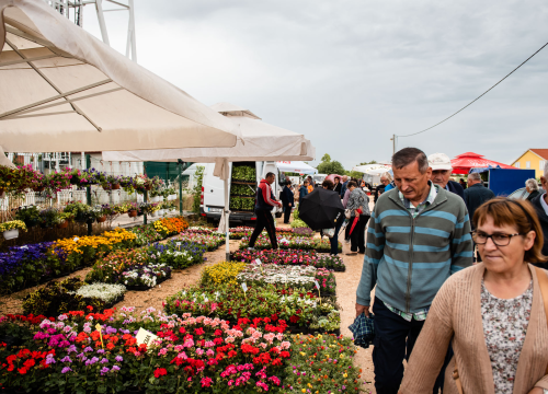 Fotografija 4 - Bili smo na Benkovačkom sajmu: Najtraženija 'roba' su CD-evi Thompsona i Bulića, a za prasetinu se čeka red