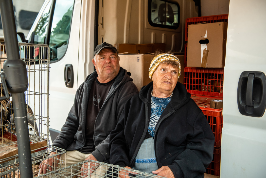 Bili smo na Benkovačkom sajmu: Najtraženija 'roba' su CD-evi Thompsona i Bulića, a za prasetinu se čeka red