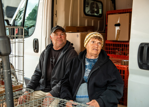 Fotografija 40 - Bili smo na Benkovačkom sajmu: Najtraženija 'roba' su CD-evi Thompsona i Bulića, a za prasetinu se čeka red