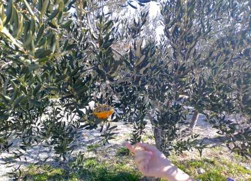 Fotografija 17 - Završena provedba aktivnosti projekta 'ZaVRTimo krug promjena'!