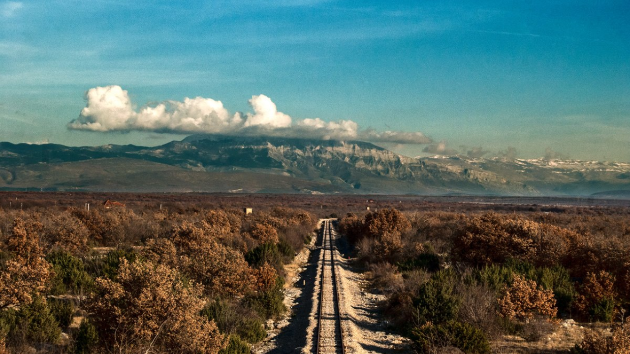 Planina Dinara dobila prvu knjigu o njezinu bogatom biljnom svijetu