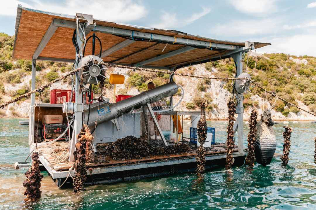 Posjetite novootvorenu kušaonicu školjaka i vina Oyster22!