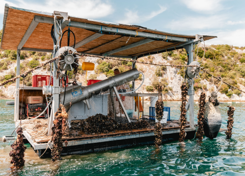 Fotografija 2 - Posjetite novootvorenu kušaonicu školjaka i vina Oyster22!