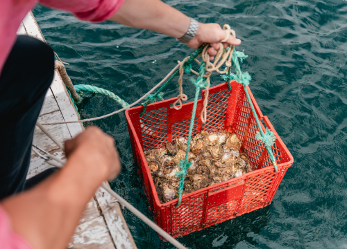 Fotografija 4 - Posjetite novootvorenu kušaonicu školjaka i vina Oyster22!