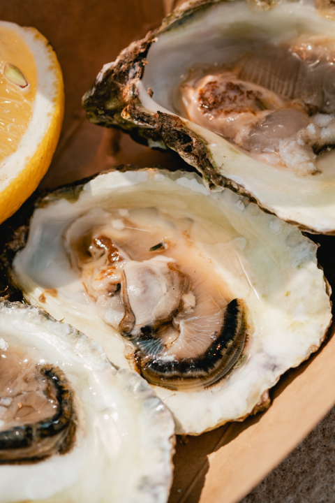 Posjetite novootvorenu kušaonicu školjaka i vina Oyster22!