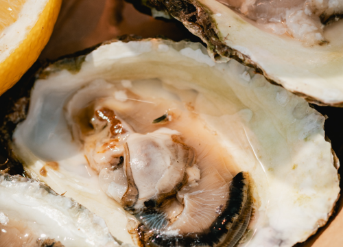 Fotografija 10 - Posjetite novootvorenu kušaonicu školjaka i vina Oyster22!