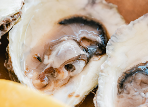 Fotografija 16 - Posjetite novootvorenu kušaonicu školjaka i vina Oyster22!