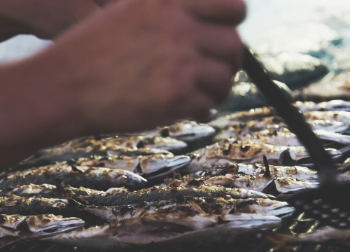 Fotografija 6 - Pogledajte kako je bilo na manifestaciji Okusi Tribunj!