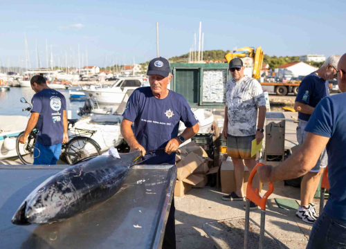 Posjetite besplatnu radionicu o zaštiti ribe i očuvanju ribljeg fonda u Jezerima!