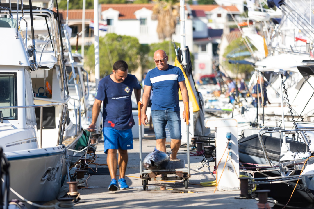 Posjetite besplatnu radionicu o zaštiti ribe i očuvanju ribljeg fonda u Jezerima!