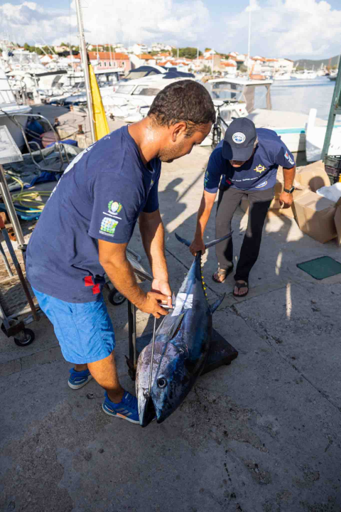 Posjetite besplatnu radionicu o zaštiti ribe i očuvanju ribljeg fonda u Jezerima!