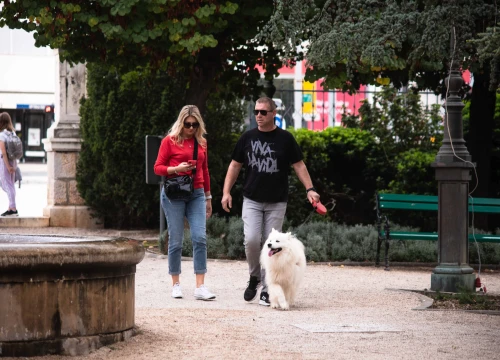 Fotografija 2 - FOTO Đir po gradu, nedjelja 9. listopada