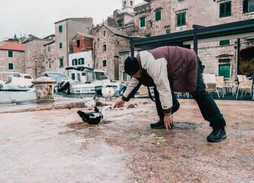 Fotografija 7 - Patak Mile je dolački mezimac, labudovi nisu dobrodošli: ‘Posla bi ih kod britanske kraljice’