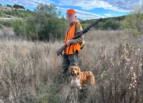 Fotografija 4 - Lovci im zapucali iznad glava dok su brali masline u Donjem Polju: 'Jedan me čak i odgurnuo s puškom!'