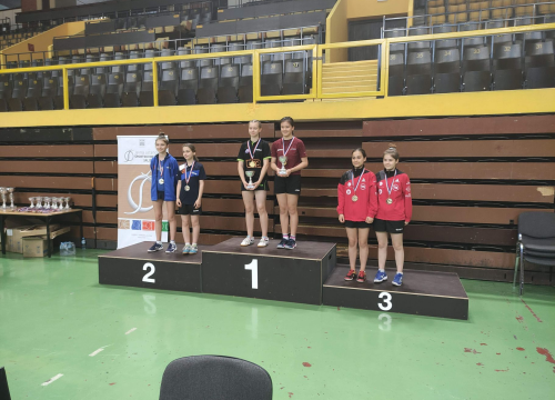 Fotografija 2 - Osvrt Stolnoteniskog kluba Šibenik na godinu na zalasku: Osvojeno ukupno 55 trofeja