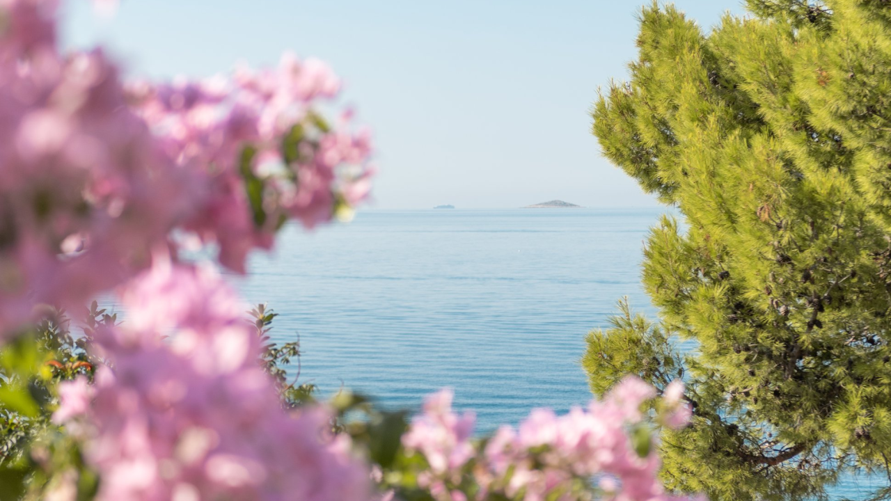 Knjiga o povijesti Jadrana: Mnogi ga poznaju, rijetki razumiju