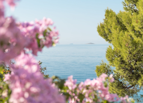 Knjiga o povijesti Jadrana: Mnogi ga poznaju, rijetki razumiju