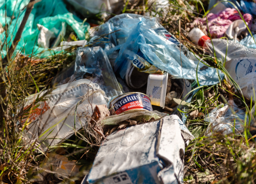 Fotografija 2 - Dnevna doza smeća: Evo hrpe na putu za Dubravu