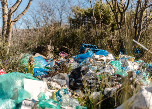 Fotografija 3 - Dnevna doza smeća: Evo hrpe na putu za Dubravu