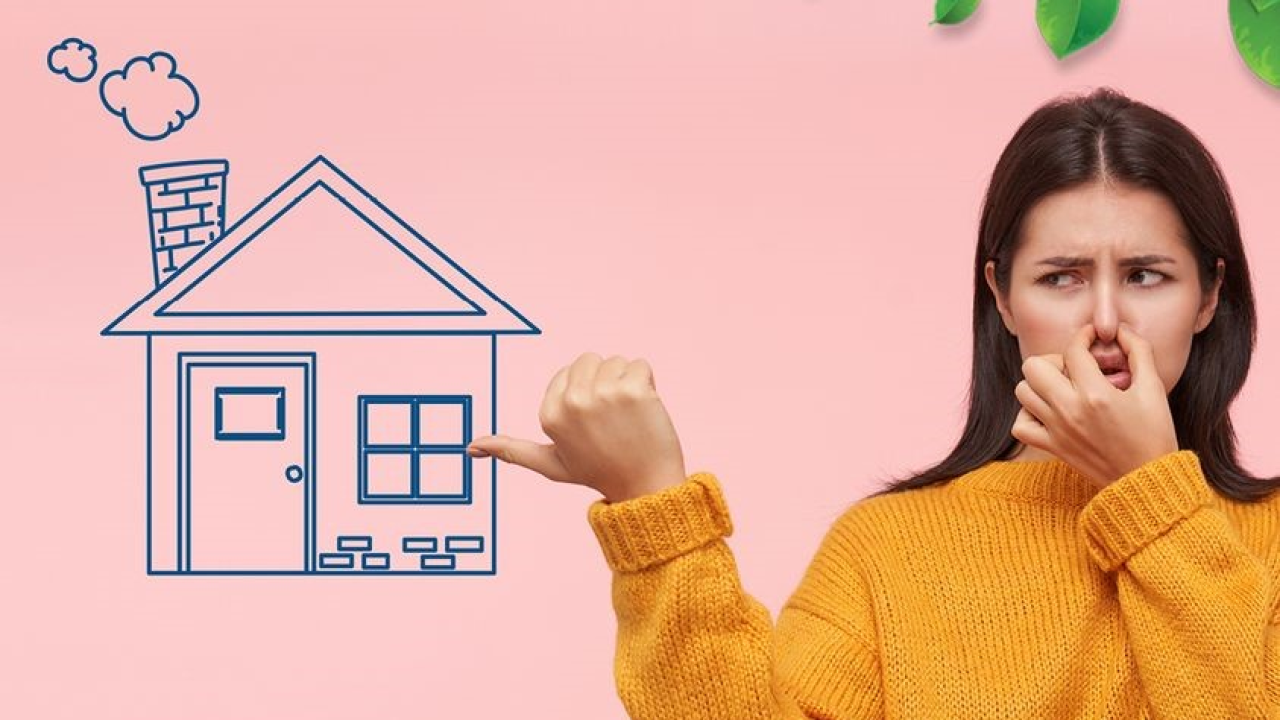 Vlaga i plijesan opasni su za zdravlje: Evo kako ih spriječiti!