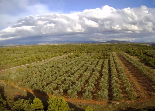 Fotografija 10 - OPG Ivić od hobija postao obiteljski posao prepoznat u svijetu: 'Mnogo je truda i odricanja, ali priznanja daju vjetar u leđa'