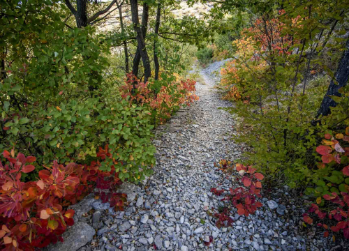 Fotografija 3 - Posjeti NP "Krka" na Praznik rada, preuzmi svoju sadnicu i posadi je za budućnost!
