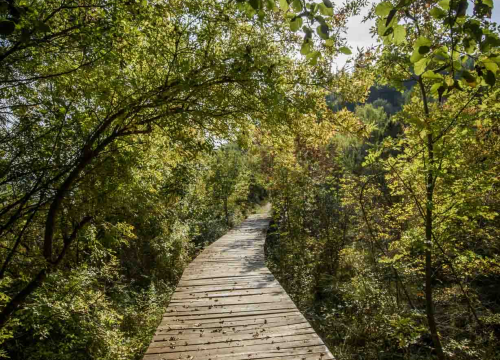 Fotografija 6 - Posjeti NP "Krka" na Praznik rada, preuzmi svoju sadnicu i posadi je za budućnost!