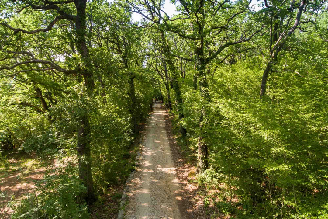 Posjeti NP "Krka" na Praznik rada, preuzmi svoju sadnicu i posadi je za budućnost!
