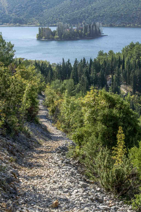 Posjeti NP "Krka" na Praznik rada, preuzmi svoju sadnicu i posadi je za budućnost!