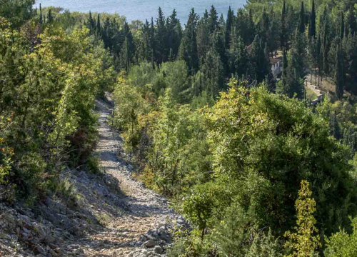 Fotografija 10 - Posjeti NP "Krka" na Praznik rada, preuzmi svoju sadnicu i posadi je za budućnost!